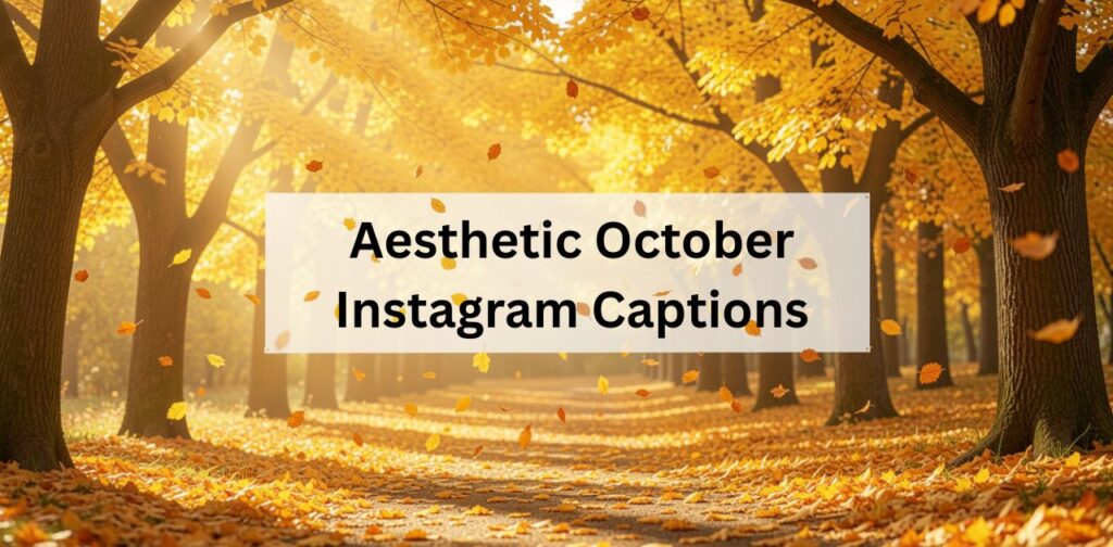 Aesthetic October Instagram Captions’ representing a curated set of visually pleasing and autumn-themed Instagram captions for the month of October