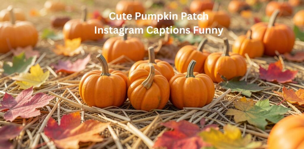 Fun and adorable pumpkin patch moment with cute fall vibes, playful expressions, pumpkins, and lighthearted autumn memories representing Cute Pumpkin Patch Instagram Captions Funny.